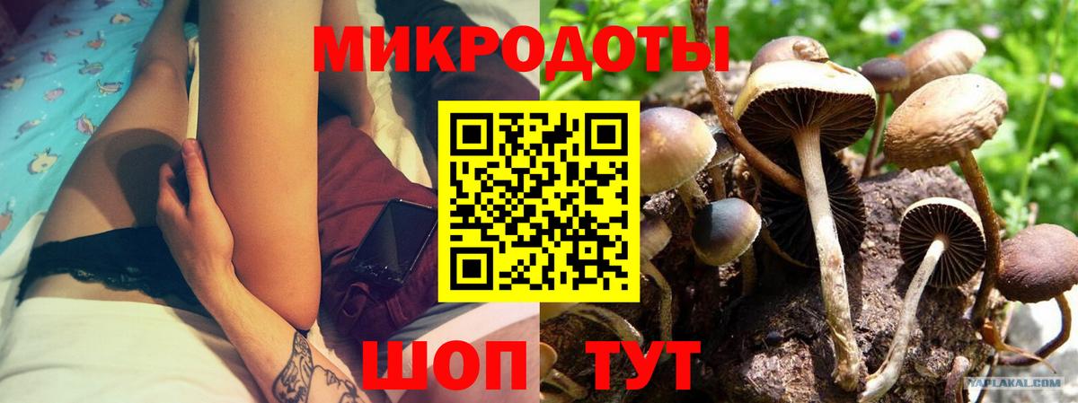 Галлюциногенные грибы Magic Shrooms  Вход с VPN  Торжок 